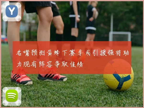 名嘴预测黄蜂下赛季或引援强将助力现有阵容争取佳绩